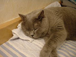May 2003
