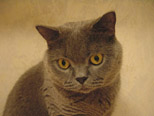 Jun 2003