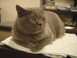 Aug 2003