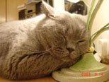 Sep 2003