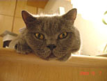 Oct 2003