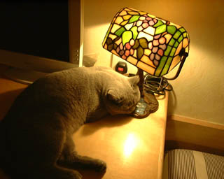 Greymeow
