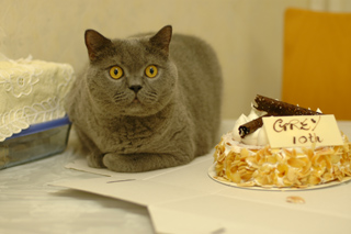 10th Birthday (15 Nov)