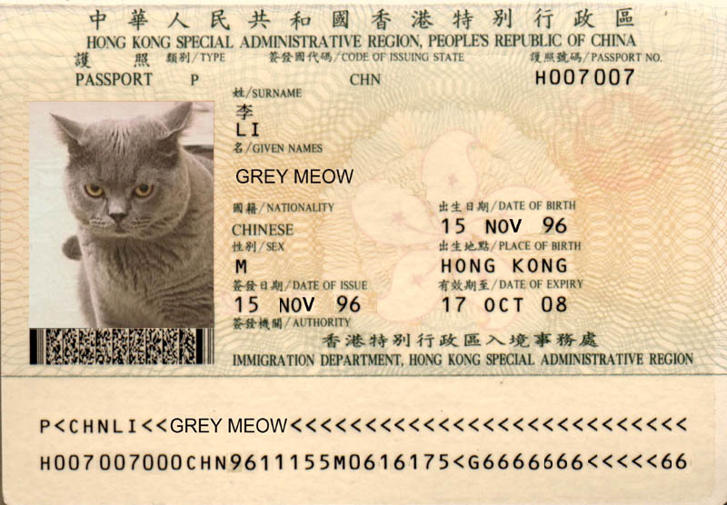 Greymeow Passport