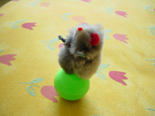 Greymeow's Toy
