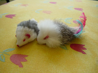 Greymeow's Toy