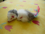 Irresistable Toy