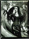 blackangel.jpg (120693 bytes)