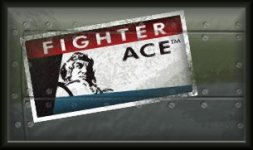    Click here  to visit the Fighter Ace 



Website            https://fighterace.ketsujin.com  