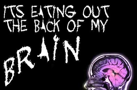 Get involved - get eaten