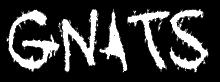Gnats - like little bugs of evil