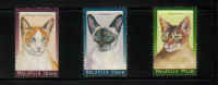 99-233 cats.JPG (34034 bytes)