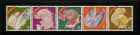 cny1.JPG (52905 bytes)