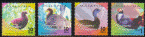 wpe26594.gif (41372 bytes)