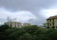 02parco_2_10_03.jpg