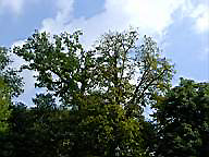 02parco_2_10_03.jpg