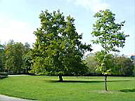 03parco_2_10_03.jpg