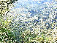IMAG0012.JPG