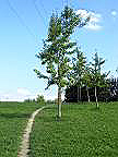Imag0016.jpg