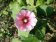 IMAG0030.JPG