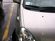 rain_1_10_03_5m.jpg