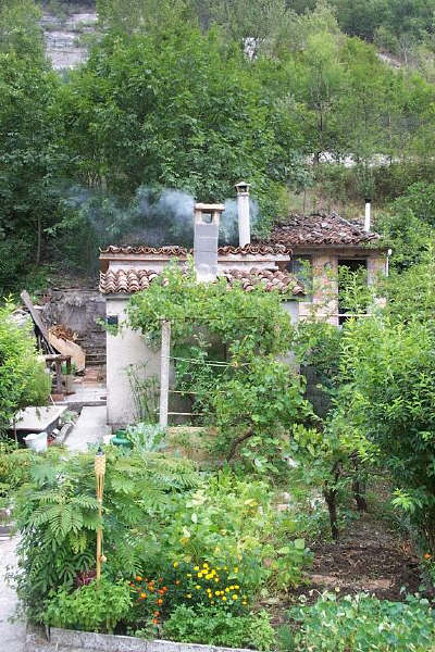 smoke.jpg 400*600