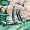 Animalia lying by a river