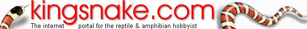 Kingsnake.com YOUR internet Portal to the Reptile Community 