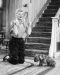 Lucy & Fred (The Dog)