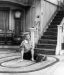 Lucy & Fred (The Dog)