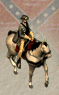 Confederate Officer