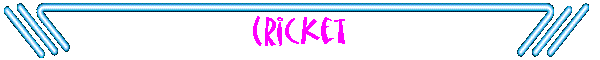 Cricket