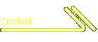 Cricket
