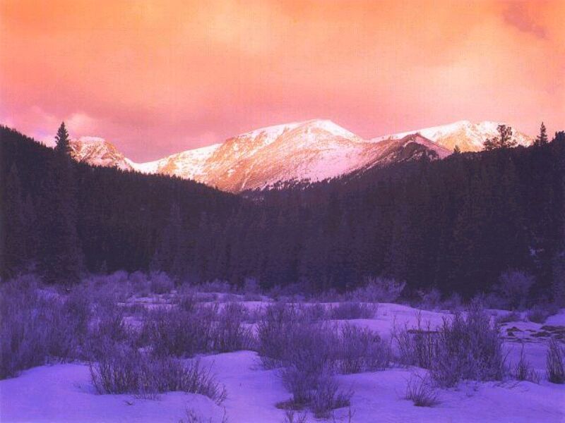 wonderland.jpg (45607 bytes)