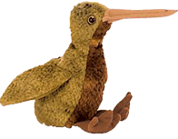 Kiwi Bird