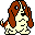 ADOPT A PET DOGS 1