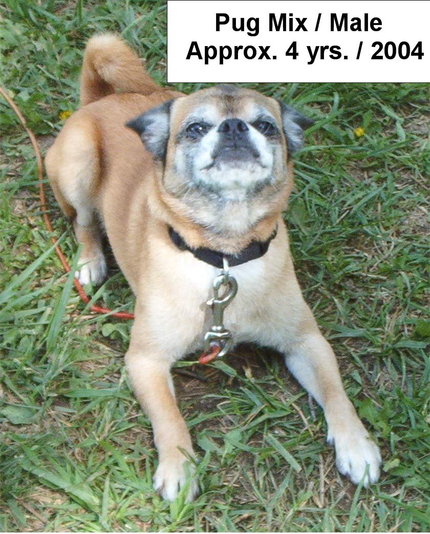 PUGMIX