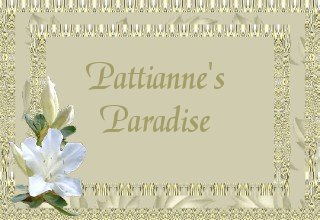 To Pattianne's Paradise