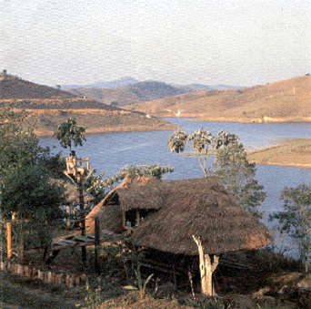 Vista