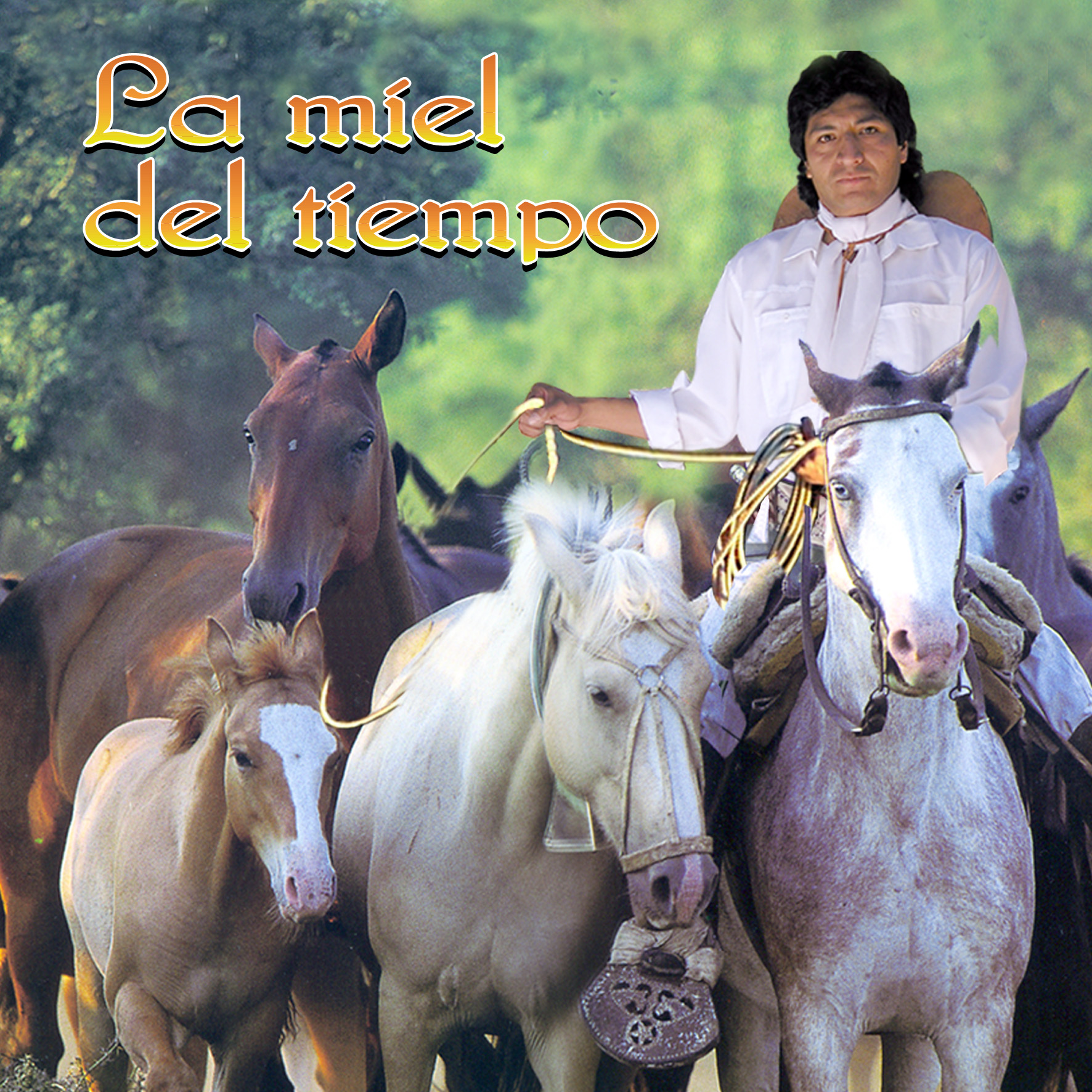 Disco Vol.I II: La miel del Tiempo (Chaque�o)