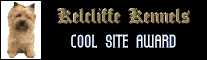 Cool Site Award