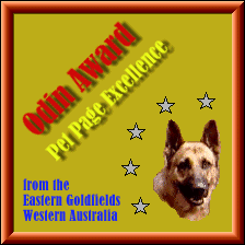 Odin Pet Page Excellence
Award