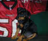 ivybucs.jpg (45195 bytes)