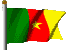 Cam Flag