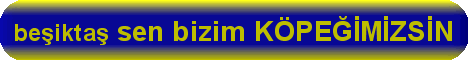 be�ikta� SEN B�Z�M K�PE��M�ZS�N