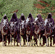 SIX Riders