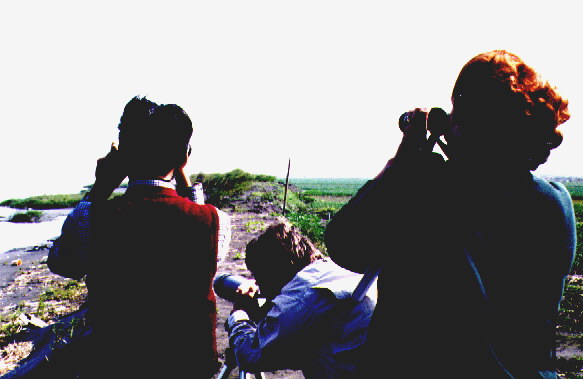 Birding at Lanyan River Estuary.