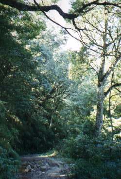 Scene of reserve.