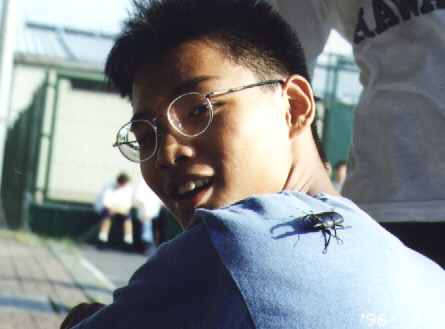 Willy Cheung with Stag Beetle (male)