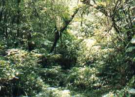 Fushan, Wulai